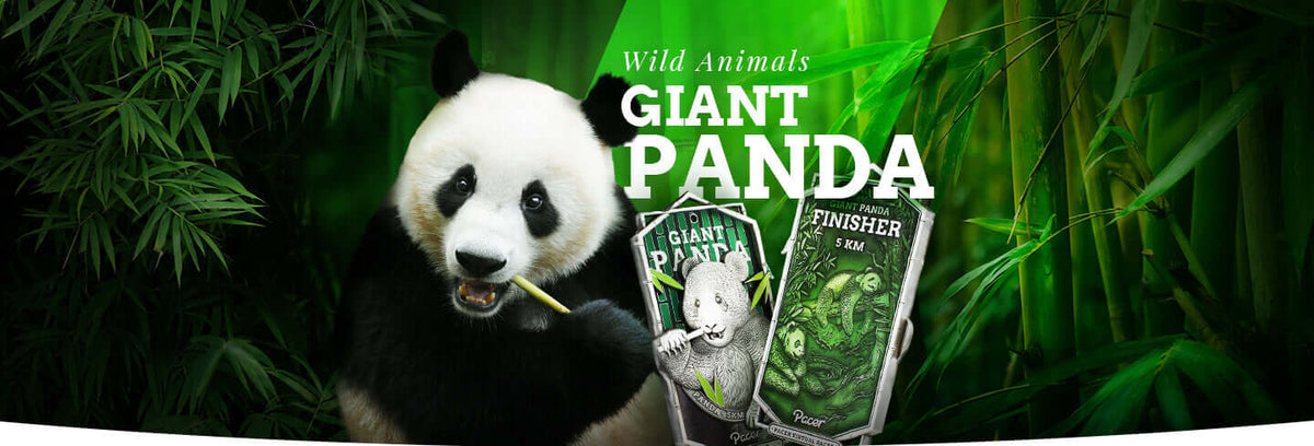 スピード発送PANDA Wild Animals Virtual Race - Giant Panda 5 km