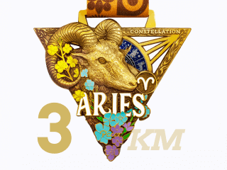 Zodiac Virtual Races Aries