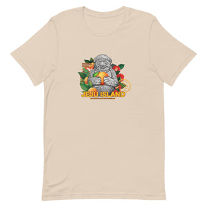 Jeju Island Virtual Challenge Unisex t-shirt