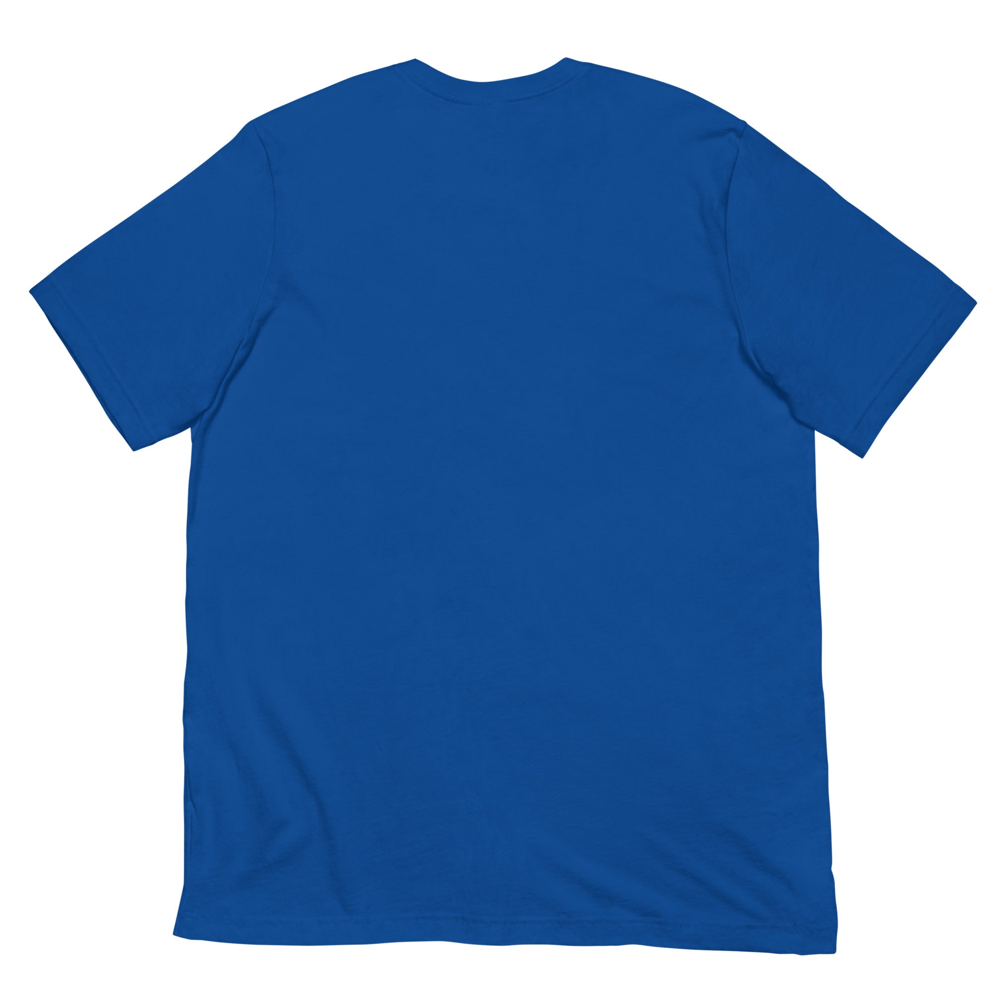 Blue unisex t-shirt for Day of the Dead Oaxaca Virtual Challenge, back view, soft and lightweight fabric with stretch.