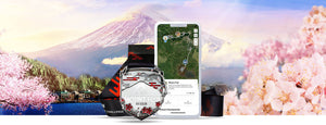Mount Fuji Virtual Challenge