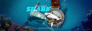 Race for Ocean Animals - Shark 15km