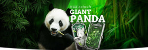 Wild Animals Virtual Race - Giant Panda 5 km